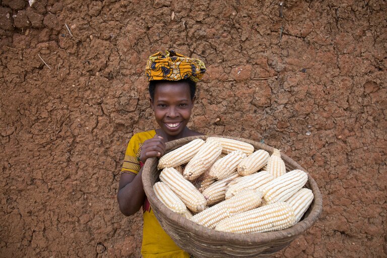 Rwanda: Når madspild mindskes stiger bønders indkomst
