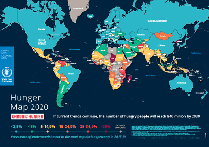 Kort over sult i verden 2020