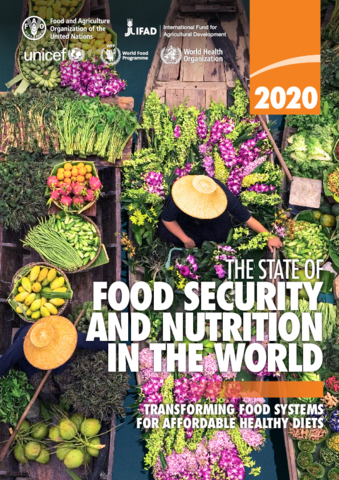 The State of Food Security and Nutrition in the World (SOFI) Rapport 2020