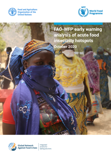 FAO-WFP Early Warning Analysis of Acute Food Insecurity Hotspots - November 2020