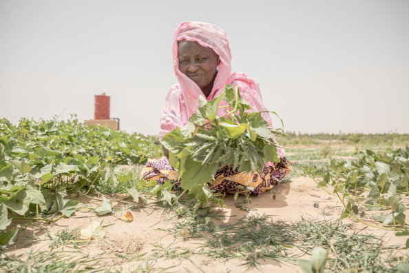 Foto: WFP/ Simon Pierre Diouf