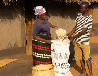 Malawi. Stop tab af fødevarer. Opbevaring af mad på lageret. Foto: WFP/Badre Bahaji