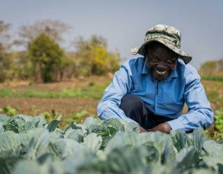 Kakhobwe's vandingsanlæg under det DFID-finansierede Prosper-program i Malawi. Foto: WFP/Badre Bahaji