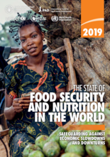2019 - The State of Food Security and Nutrition in the World (SOFI): Safeguarding against economic slowdowns and downturns
