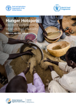 Hunger Hotspots: FAO-WFP early warnings on acute food insecurity (March to July 2021 outlook)